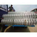 ISO9001: clôture en maille soudée en PVC galvanisé ou en PVC PVC 2008
